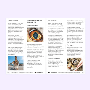 FIPMED_The Complete Roadmap to Conquering FIP- Diagnosis to Recovery Ebook Page-05