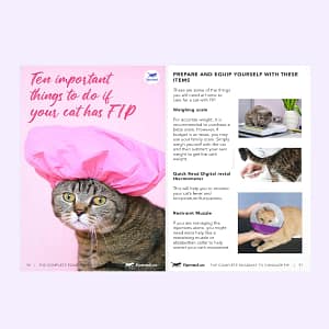 FIPMED_The Complete Roadmap to Conquering FIP- Diagnosis to Recovery Ebook Page-06