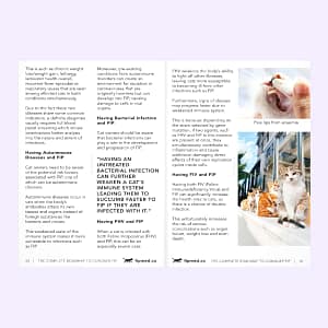 FIPMED_The Complete Roadmap to Conquering FIP- Diagnosis to Recovery Ebook Page-07