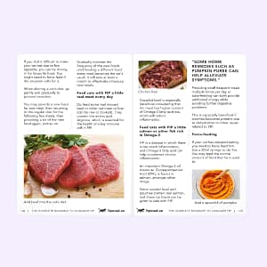 FIPMED_The Complete Roadmap to Conquering FIP- Diagnosis to Recovery Ebook Page-09