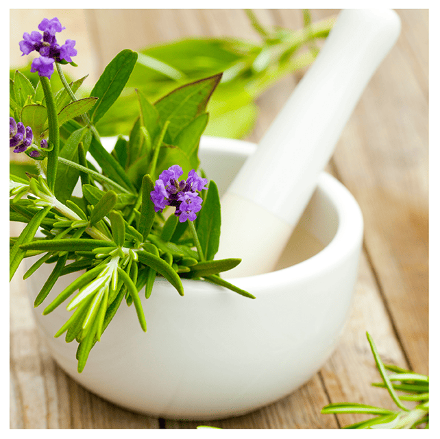 FIP Anti inflammatory FIP Anti inflammatory